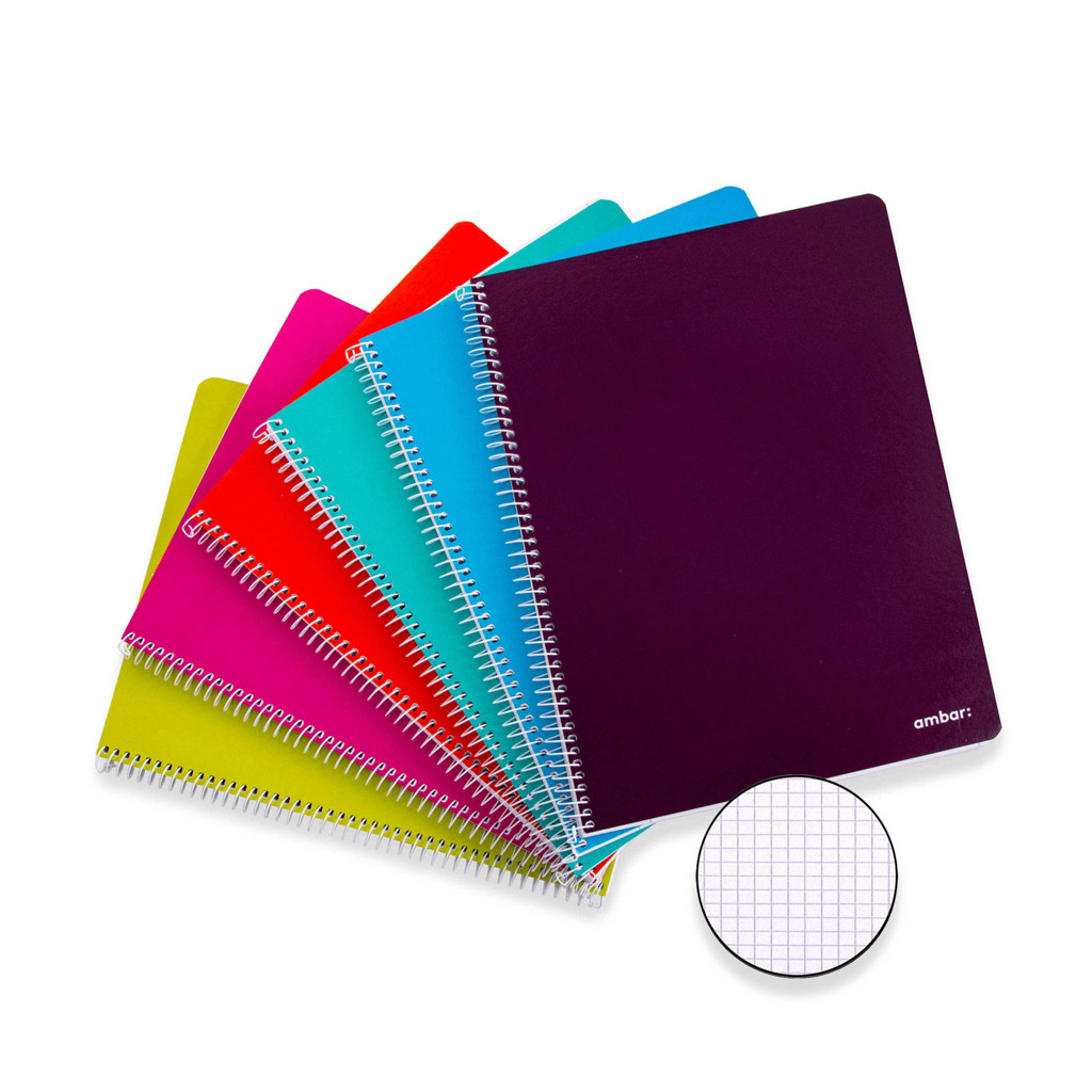 AMBAR SCHOOL CADERNO ESPIRAL 80F QUADRICULADO