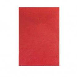 Folha Cartolina Sirio Sadipal A2 50X65cm